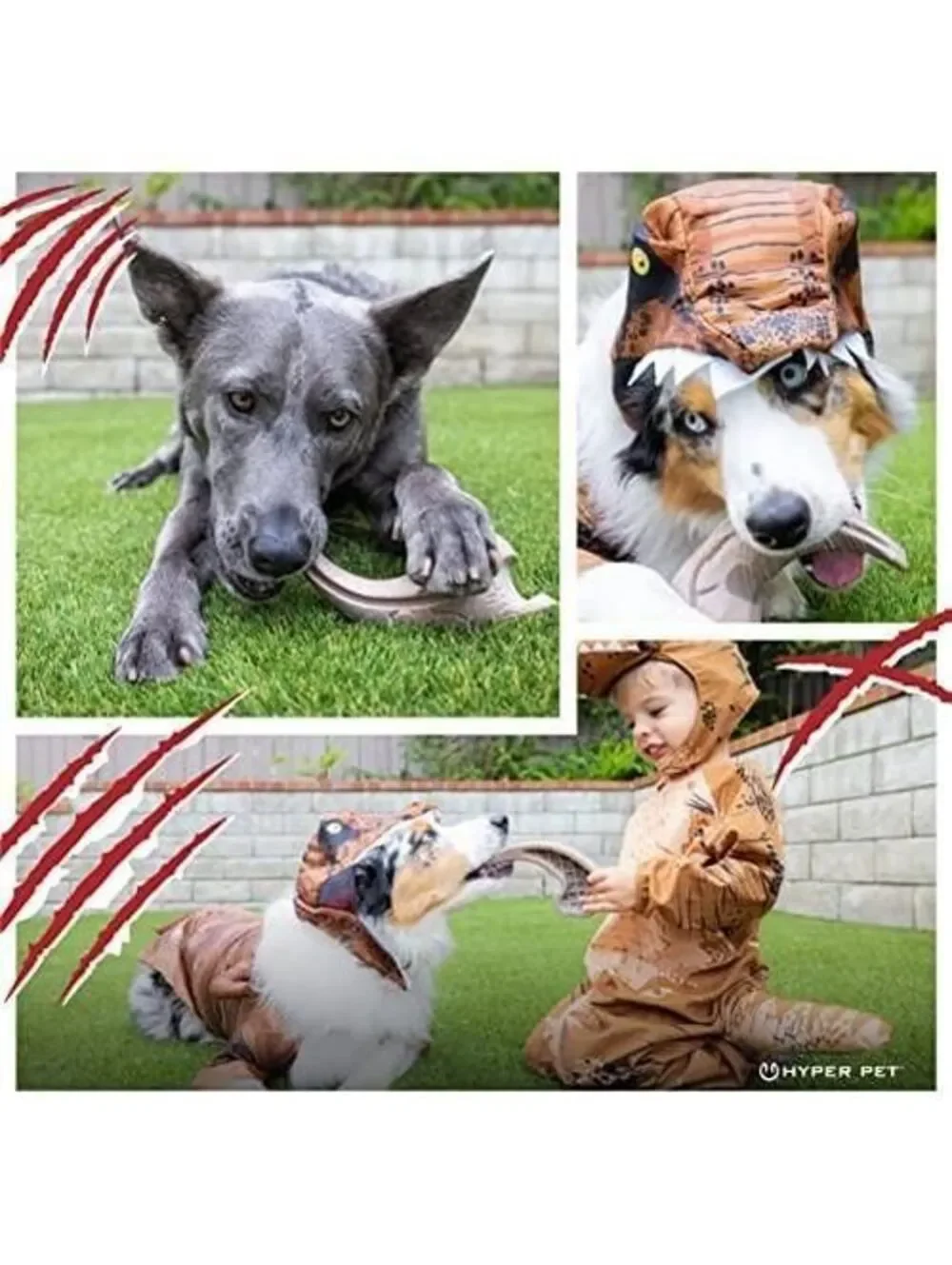 Hyper Pet Fossil Durable Dog Slow Feeder  Chew Toy  Interactive Bacon Flavor